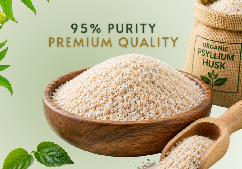 Psyllium Husk 95% Purity (Premium)